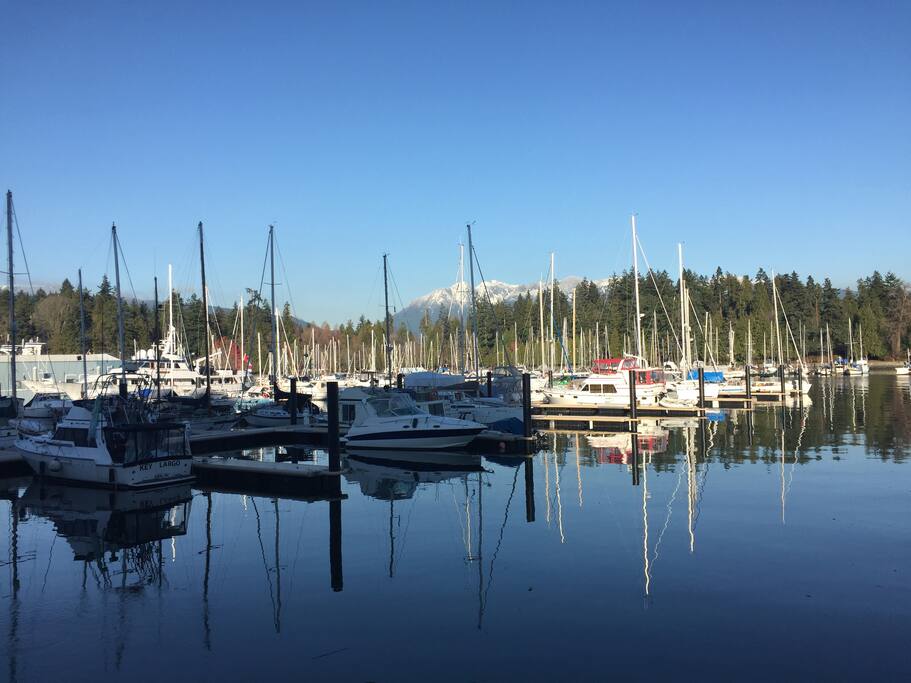 Coal harbour