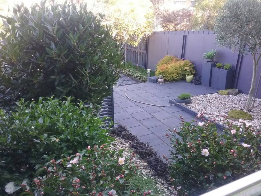 back garden