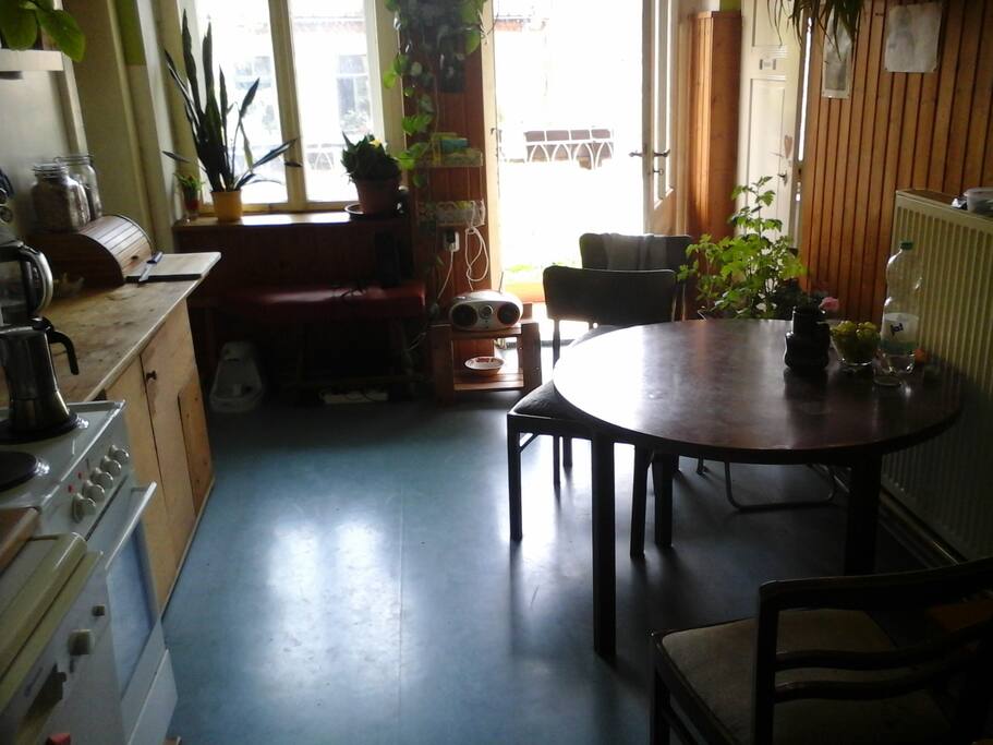 Die Küche mit Balkon und vielen Pflanzen.