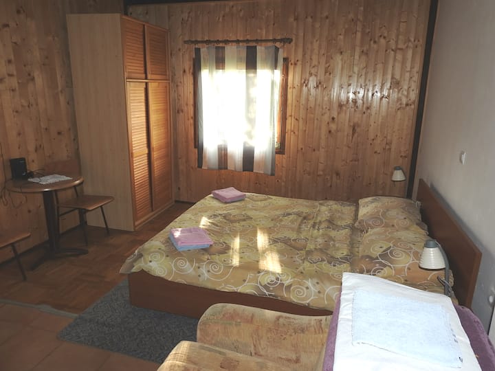 Დიდი საძინებელი 