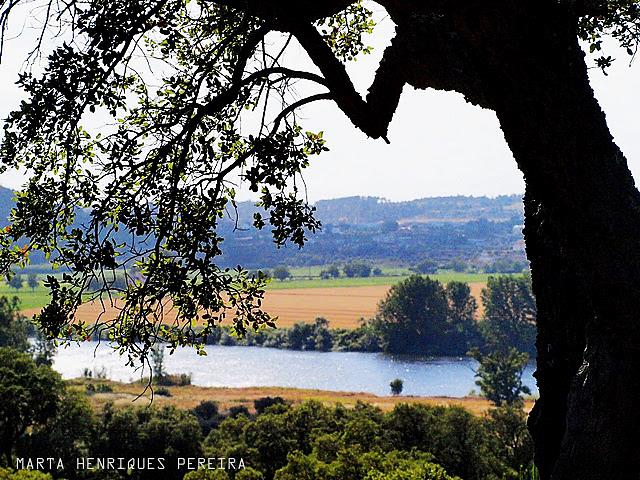 A scenic view framed by tree branches, displaying a calm river winding through lush greenery and golden fields. The landscape features distant hills under a clear sky, creating a tranquil and natural atmosphere.