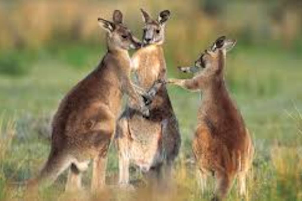 Some of our visitors