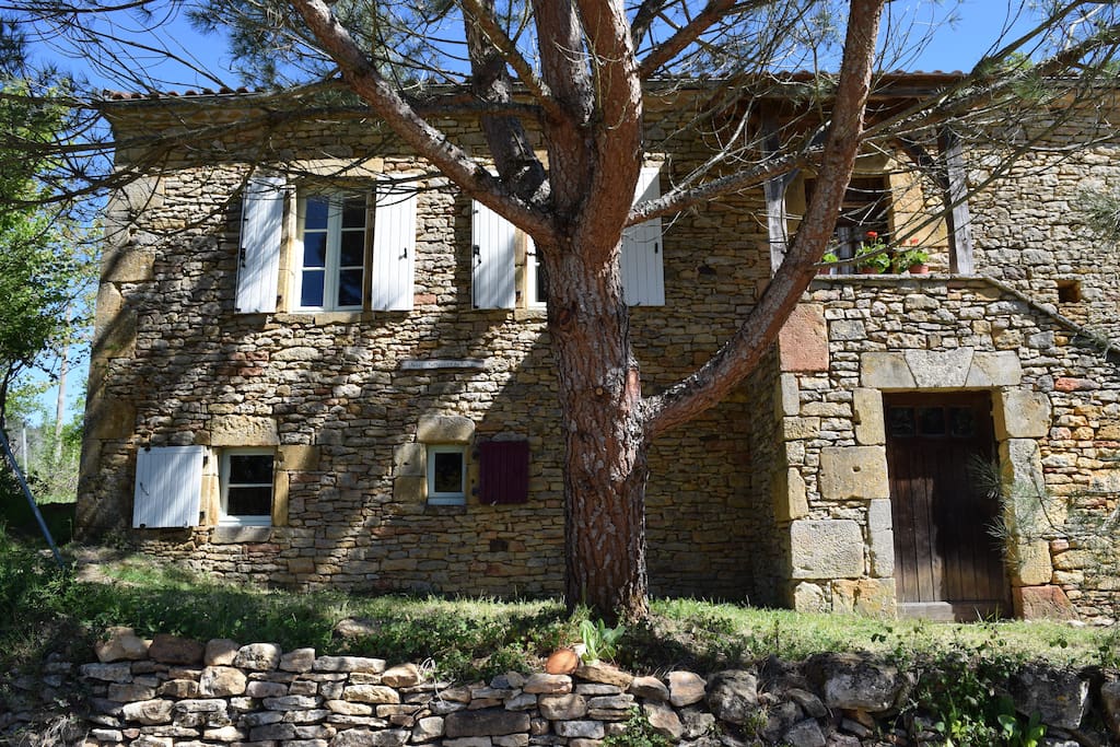 Le Petit Pattaris