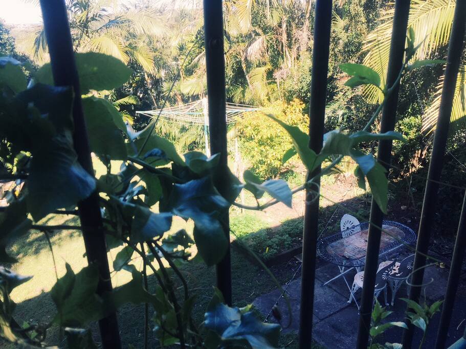 Alfresco dining in the backyard