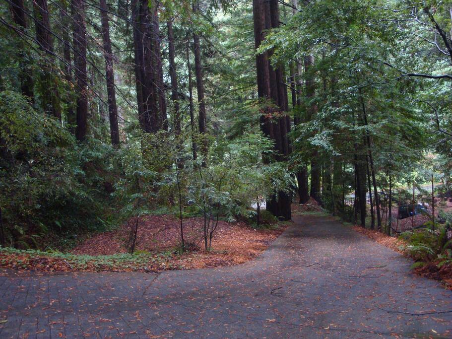 Winding driveway