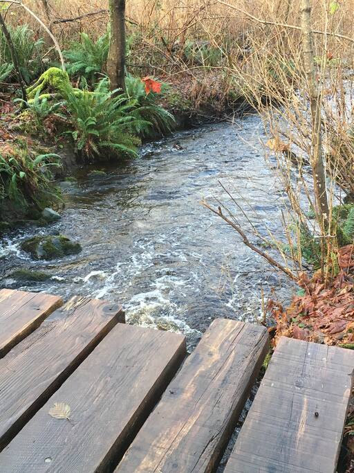 Babbling brook