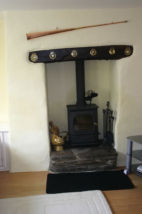 Log Burning Stove