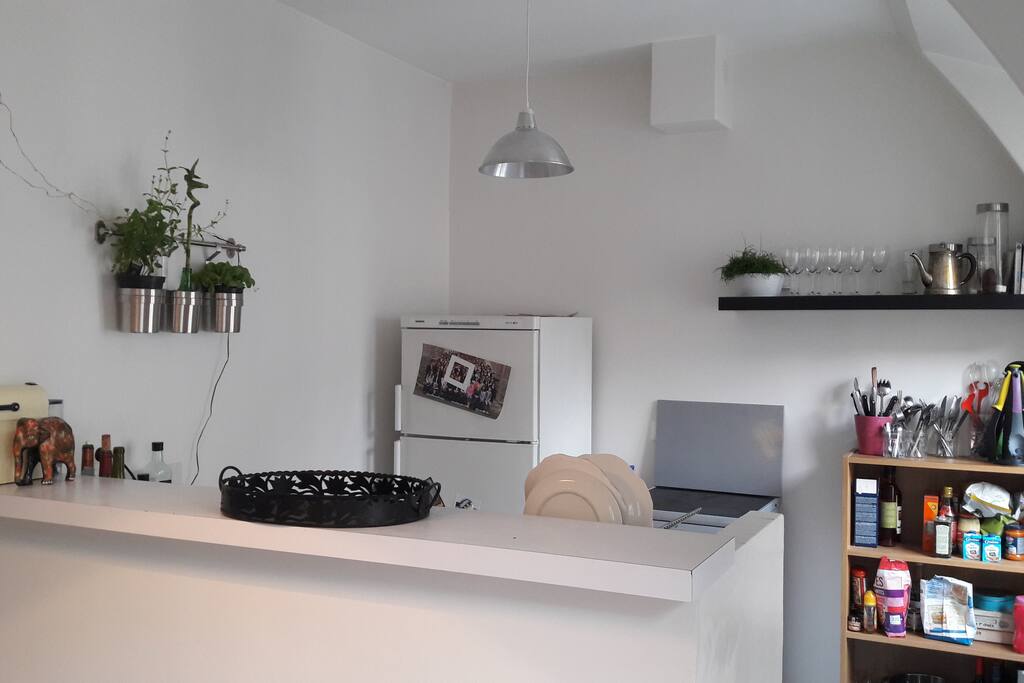 Cuisine ouverte sur le salon / salle à manger