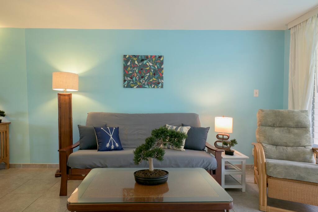 Full Sized Futon sleeper in living room.