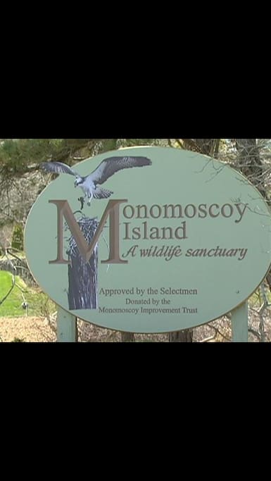 Welcome to Monomoscoy Island!