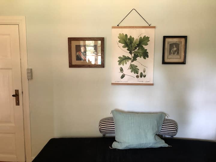 Krevet za jednu osobu u uredskoj sobi