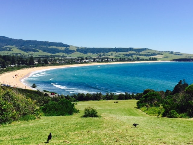 A sweeping coastal view captures Werri Beach with golden sands and calm blue waters. Rolling green hills rise in the background, creating a serene landscape. The beach area is framed by distant trees and small clusters of beachgoers enjoying the sun.