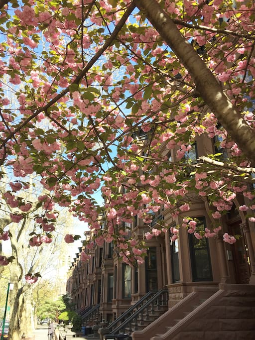 the street
