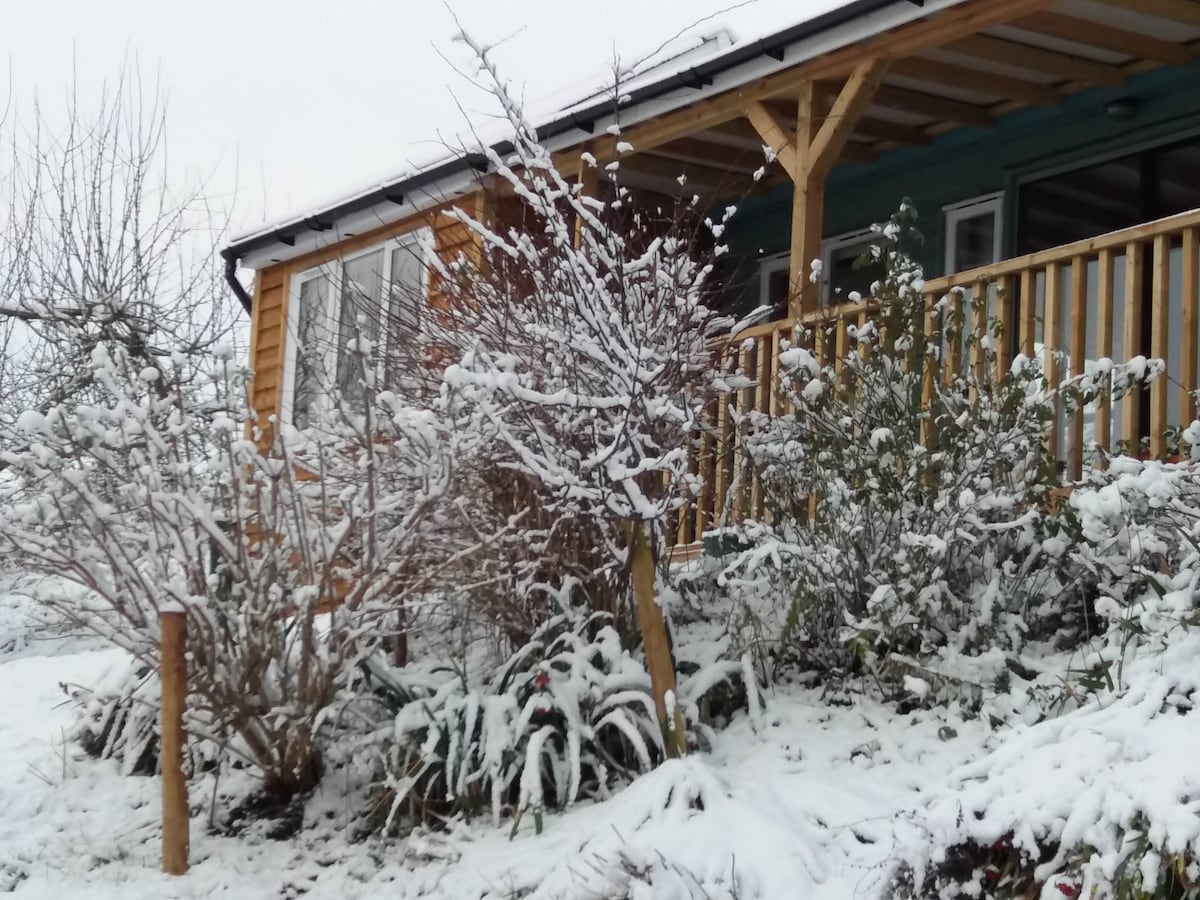 A cozy wooden cottage is surrounded by a blanket of fresh snow. Snow-covered shrubs and garden plants frame the entrance, where a wooden porch extends. The overhang provides shelter, while large windows offer glimpses into the inviting interior.