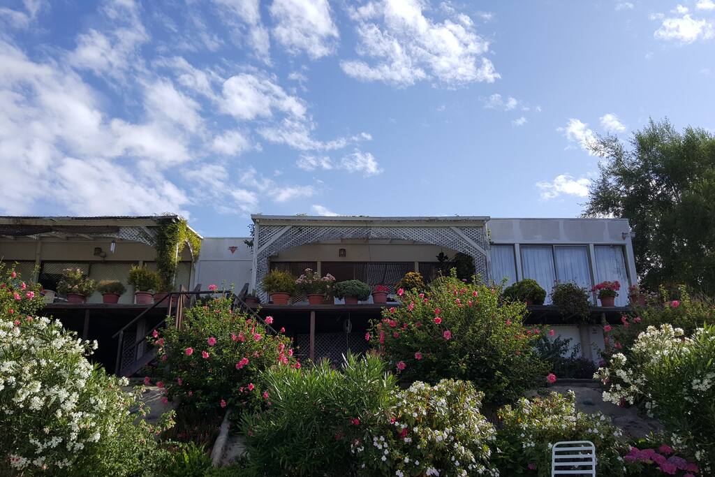 Vista desde Jardin
