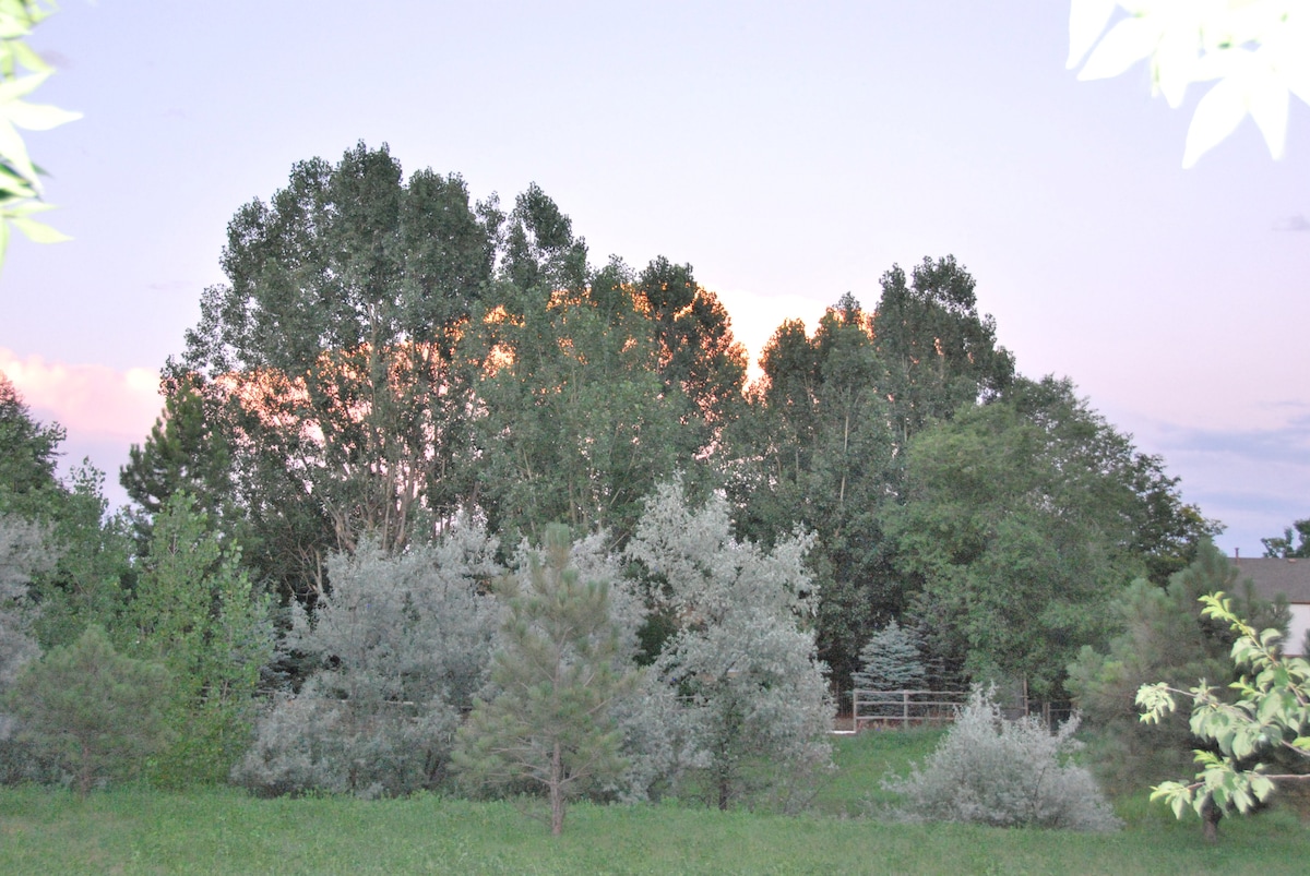 SUITE DREAMS IN FORT COLLINS Guest suites for Rent in Fort Collins