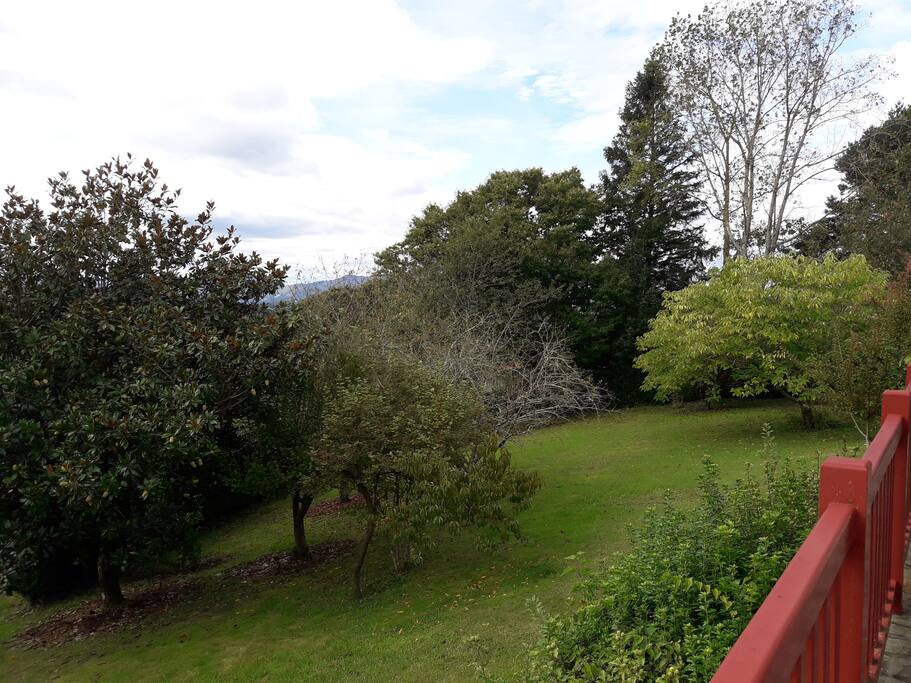 Vue de la terrasse
