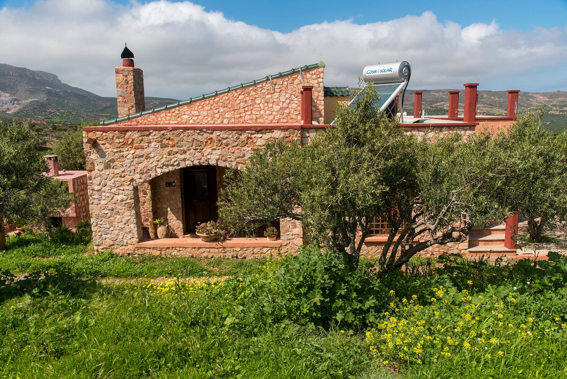 Villa in the Olive Grove