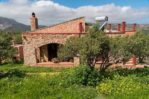 Villa in the Olive Grove