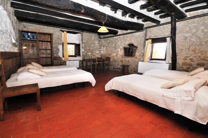 Can Ribes S.XII Lago de Banyoles PG-000048 gallery image 4