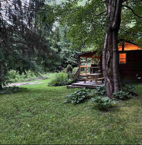 White Squirrel Woods Cabin *Hot Tub*