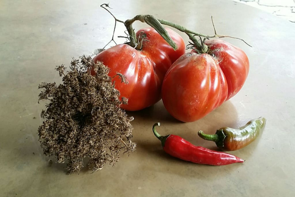 Domestic vegetables.