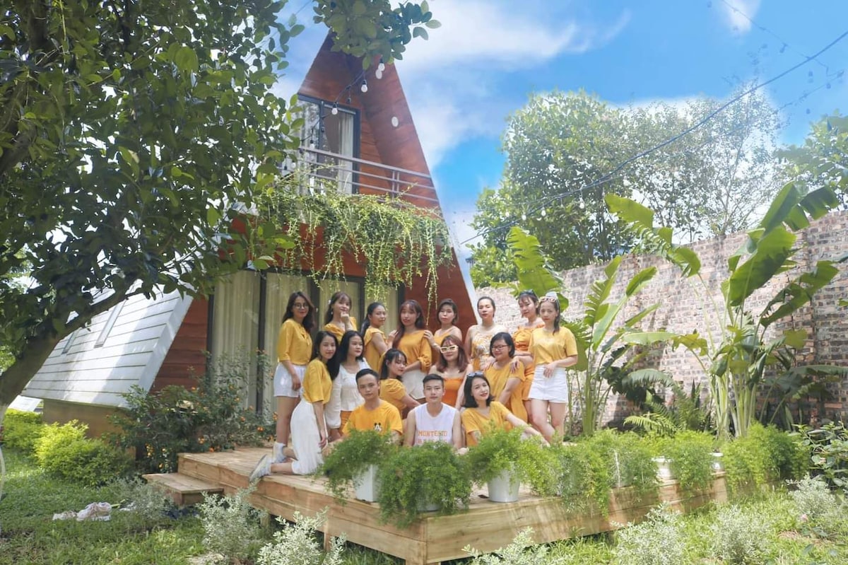 A triangular structure with a wooden exterior is surrounded by lush greenery and tropical plants. The inviting outdoor area features a wooden platform adorned with potted plants, providing a space for relaxation among the vibrant surroundings.