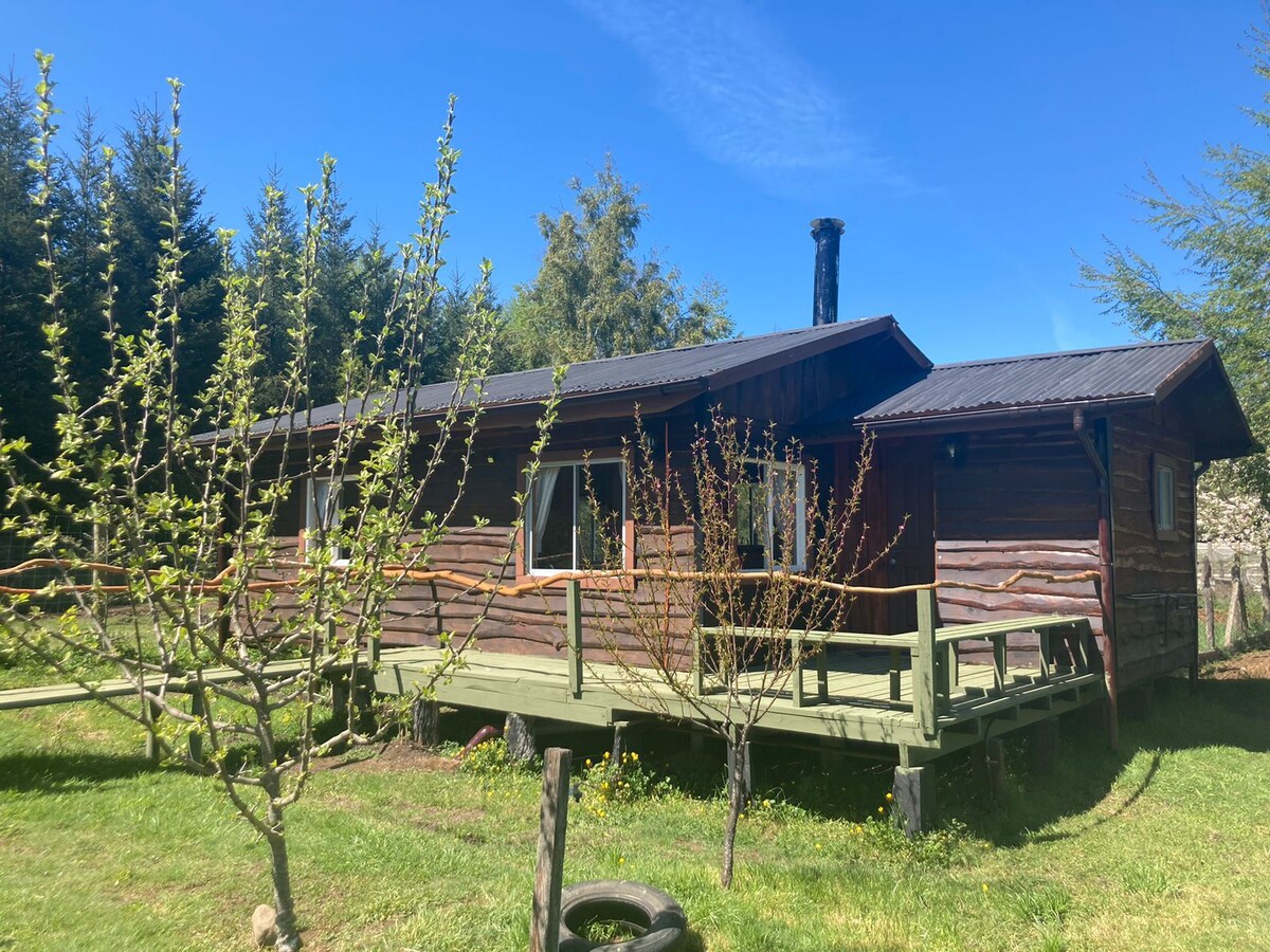 A wooden cabin sits amidst a lush green landscape. The cabin features a covered porch and multiple windows, providing views of the surrounding nature. Young trees are visible in the foreground, complementing the tranquil setting.