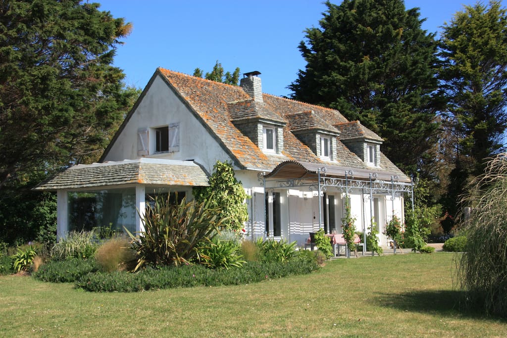 South facing garden