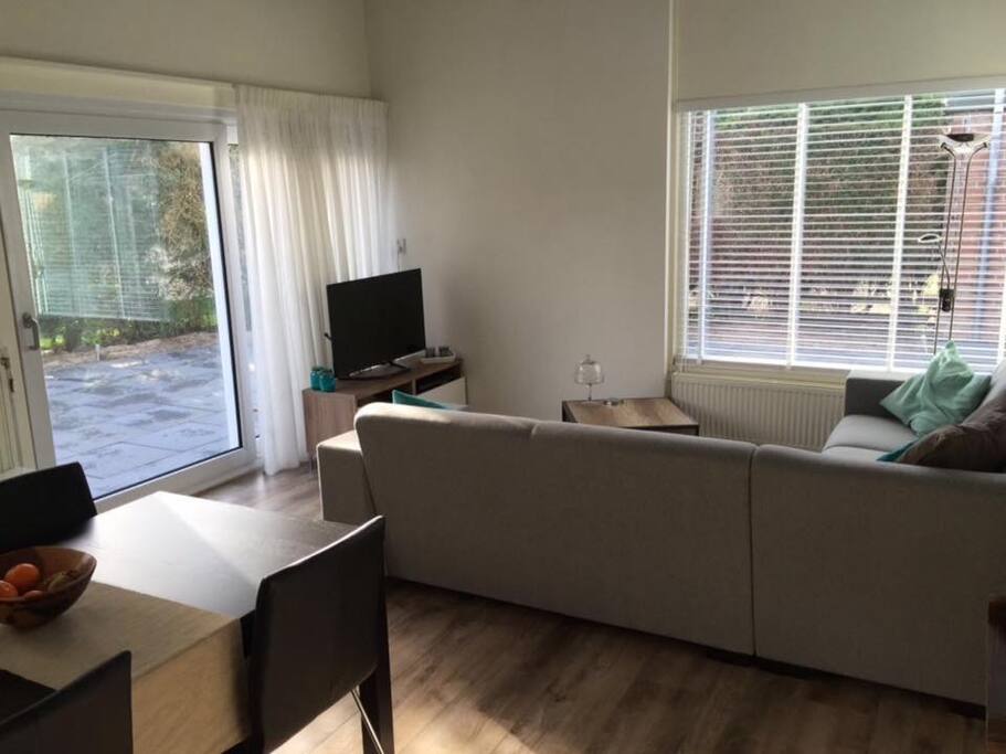 Living room/dining area