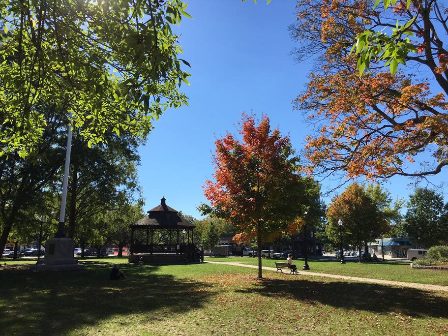 Natick center