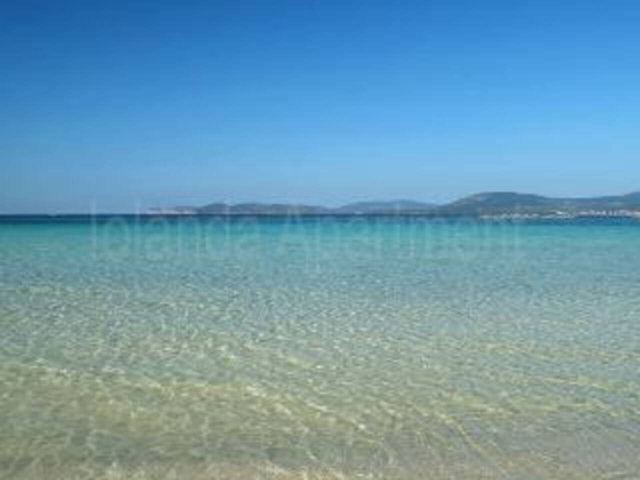 Iolanda apartment appartamenti in affitto a alghero