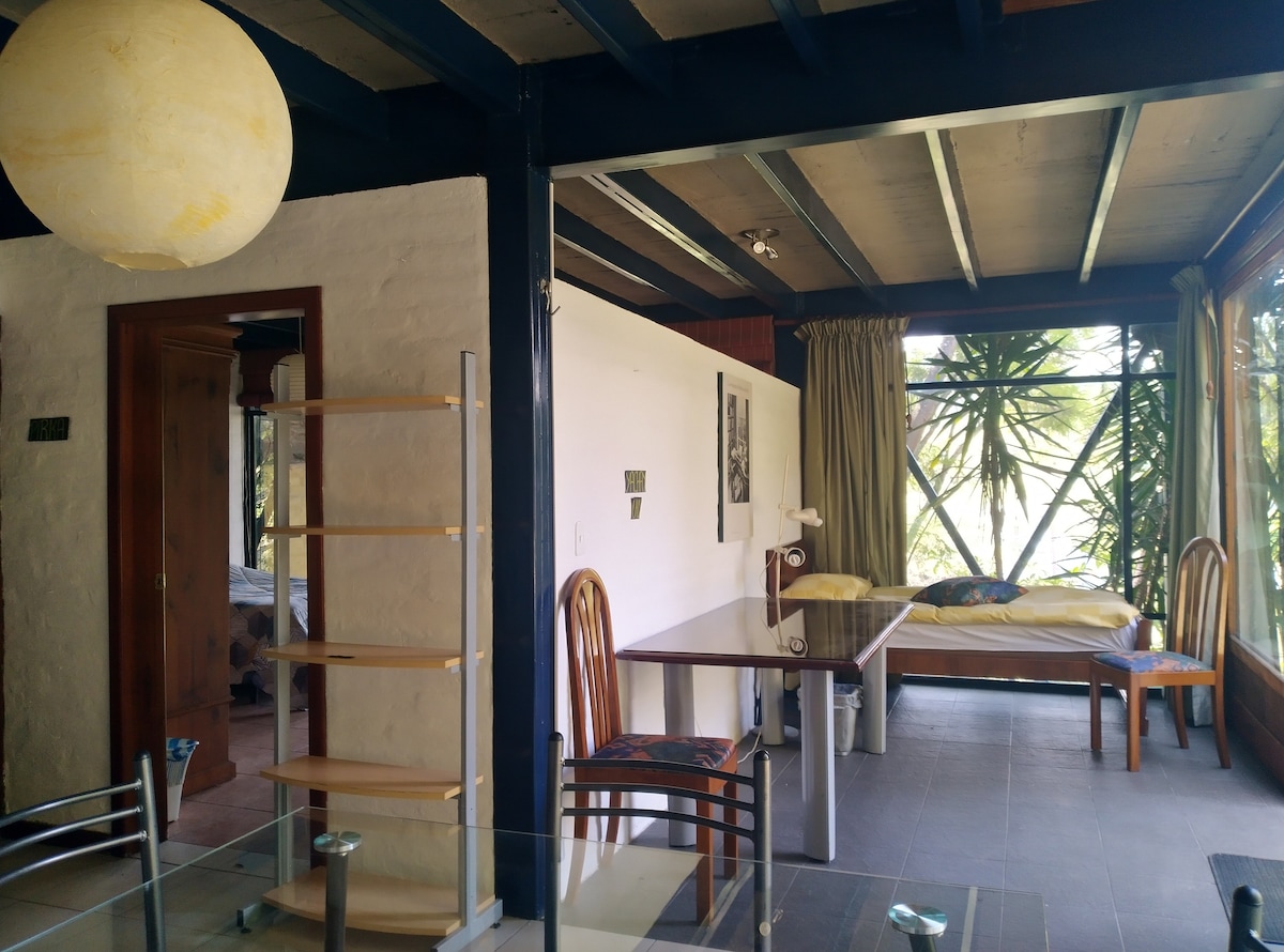 קאנה נוספת ליד החלון 