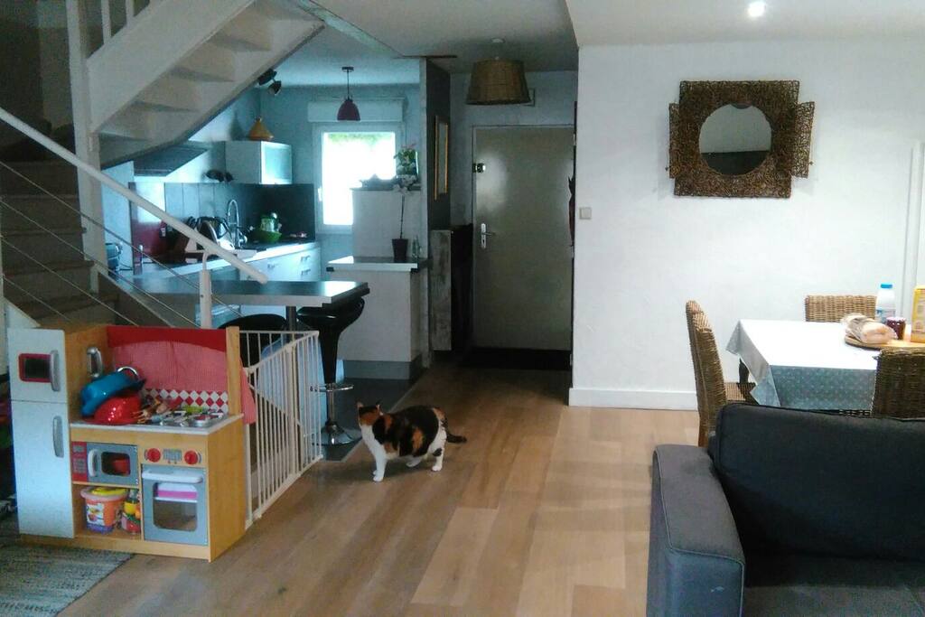 Grande pièce à vivre de 45m² avec cuisine américaine, salle à manger, salon et coin pour jeux enfants.
