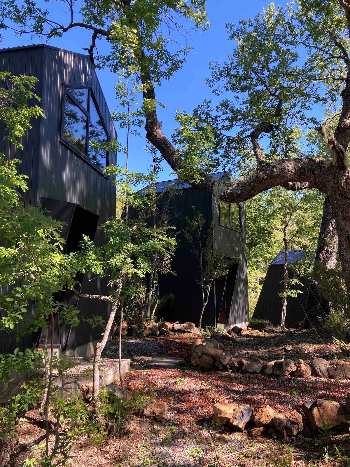The exterior of a modern cabin is framed by lush greenery, showcasing angular dark wood construction. A large tree extends over the building, and a natural pathway is lined with rocks and foliage, creating a harmonious connection with the forest surroundings.