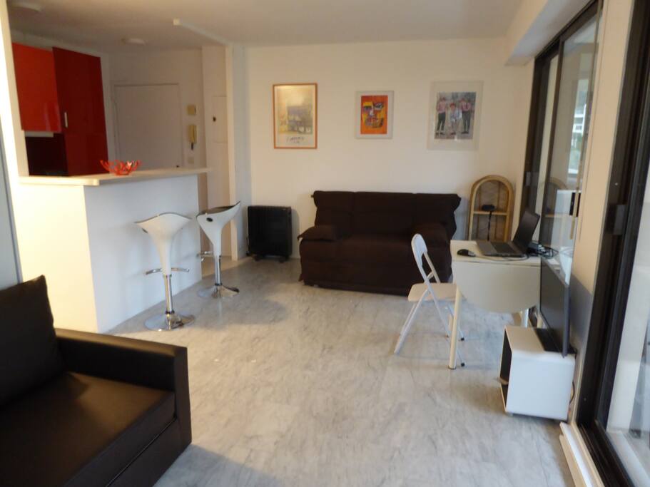 Vaste studio au fond à gauche, l'entrée, puis le comptoir de la cuisine, sous le stableaux un capané convertible (120 cm) et le balcon à droite
