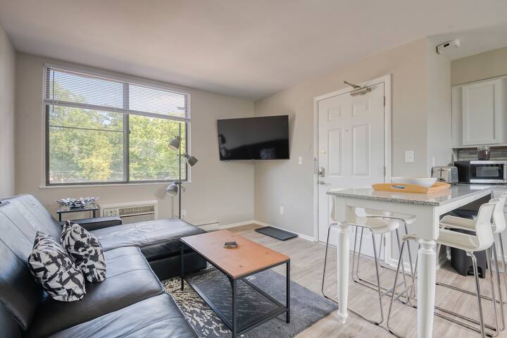 2-Bedroom. Walk to Campus and Main St w/Parking #4