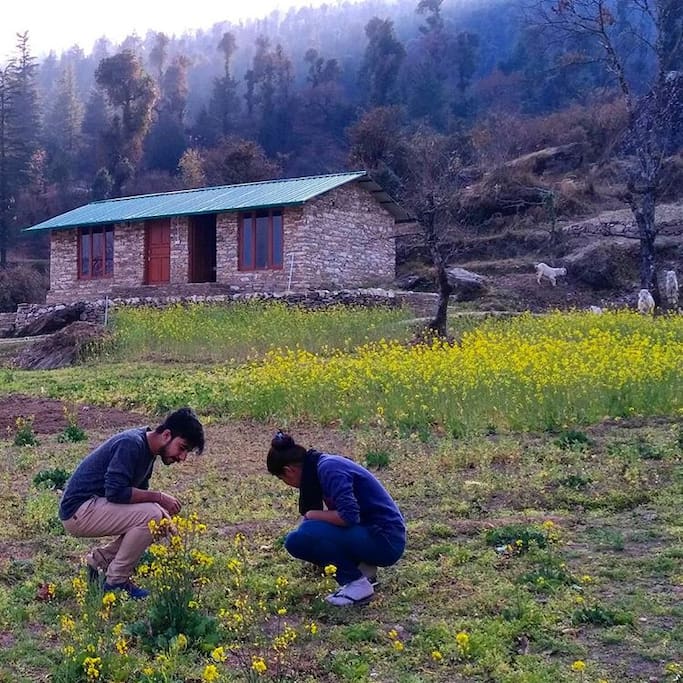 Help us plucking fresh veggies for the meals