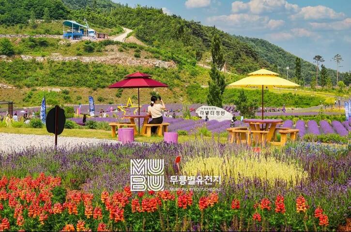 Linastay!
5 minutes to the sea, Hansom Sea Beach!
# Dotbigol # Nongoldam-gil 
# Lavender Farm # Mureung Valley