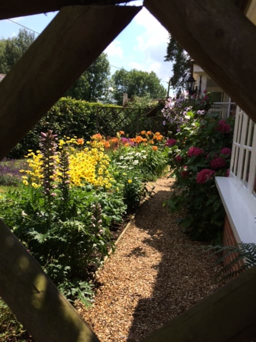 The garden in summer