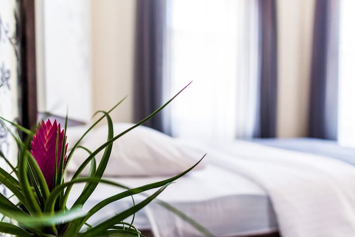 Cozy 2 rooms apartment in city center