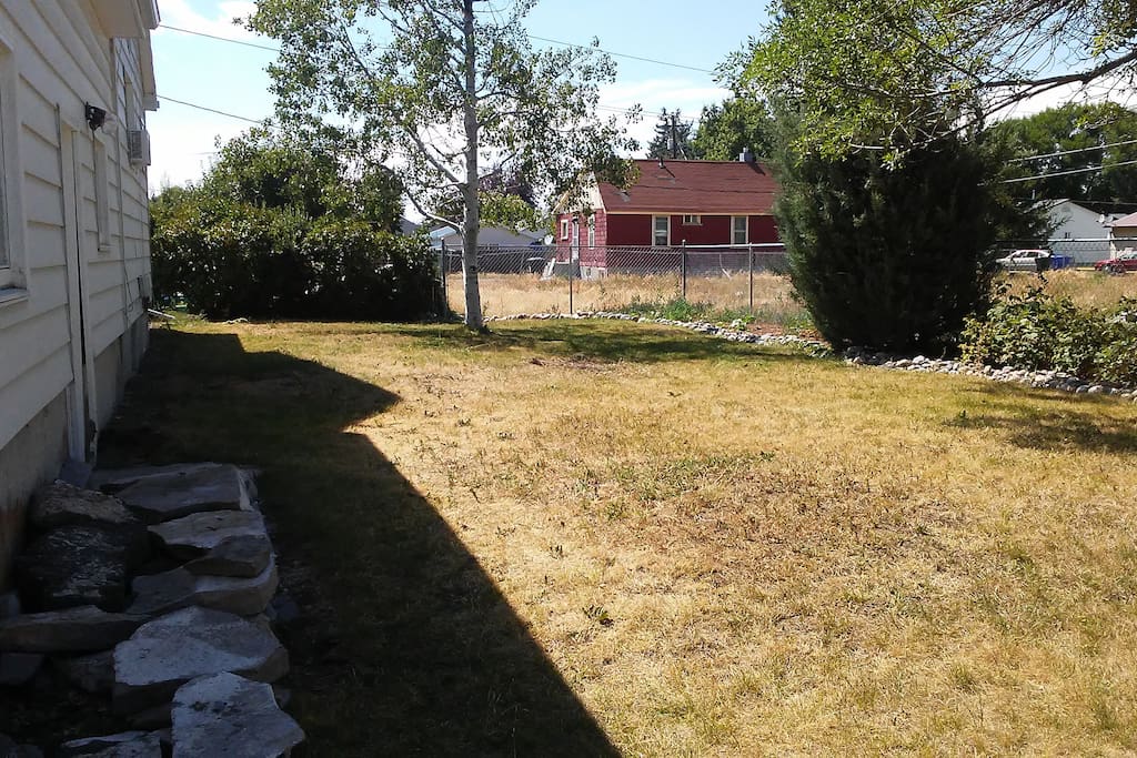 backyard