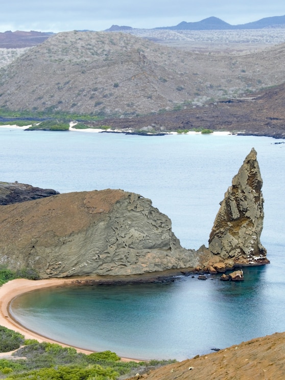 Show full-screen, host-provided image