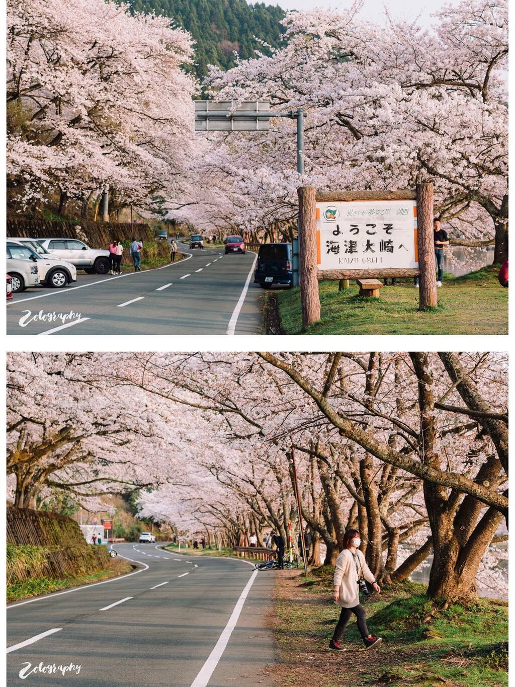 樱木 花道 向着漫长的小美好前进 就像没有尽头 日本旅游攻略 尽在airbnb爱彼迎