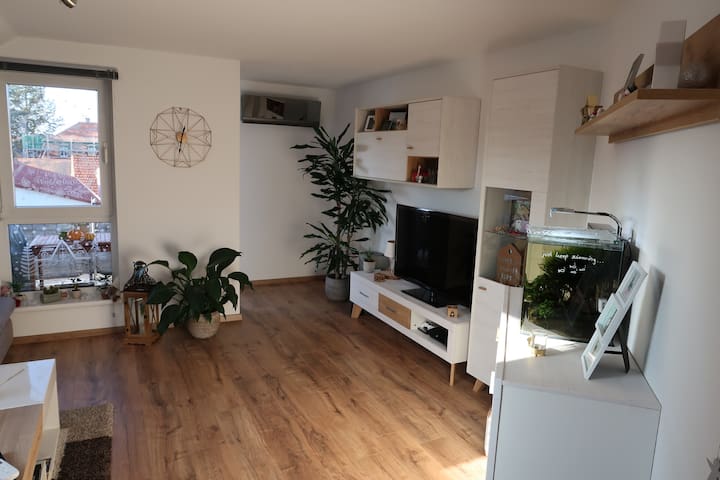 Gemutliches Apartment In Hofheim Netflix Klima Flats For