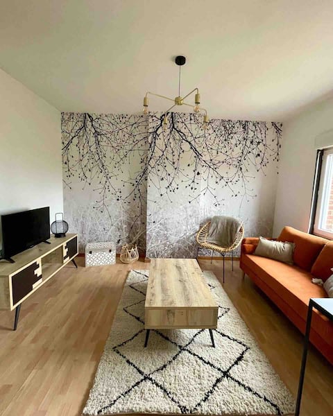 LA VILLA DEKO Béthune Appt2 University & Hospital