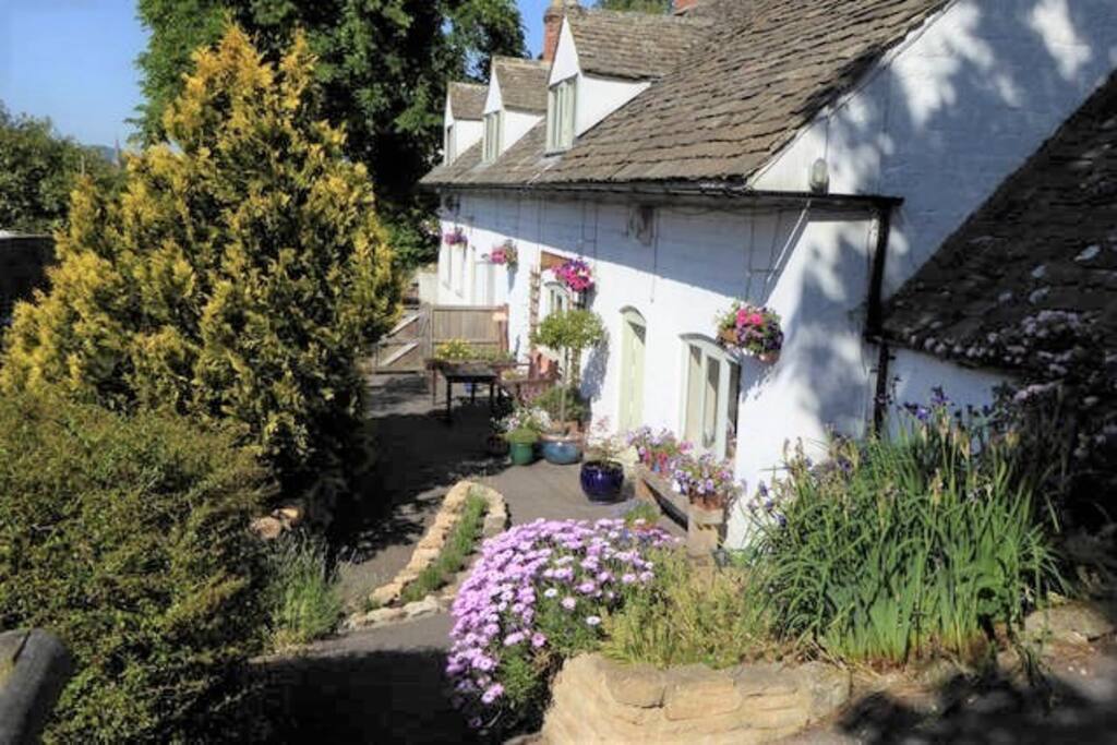 The front of the house on a sunny day