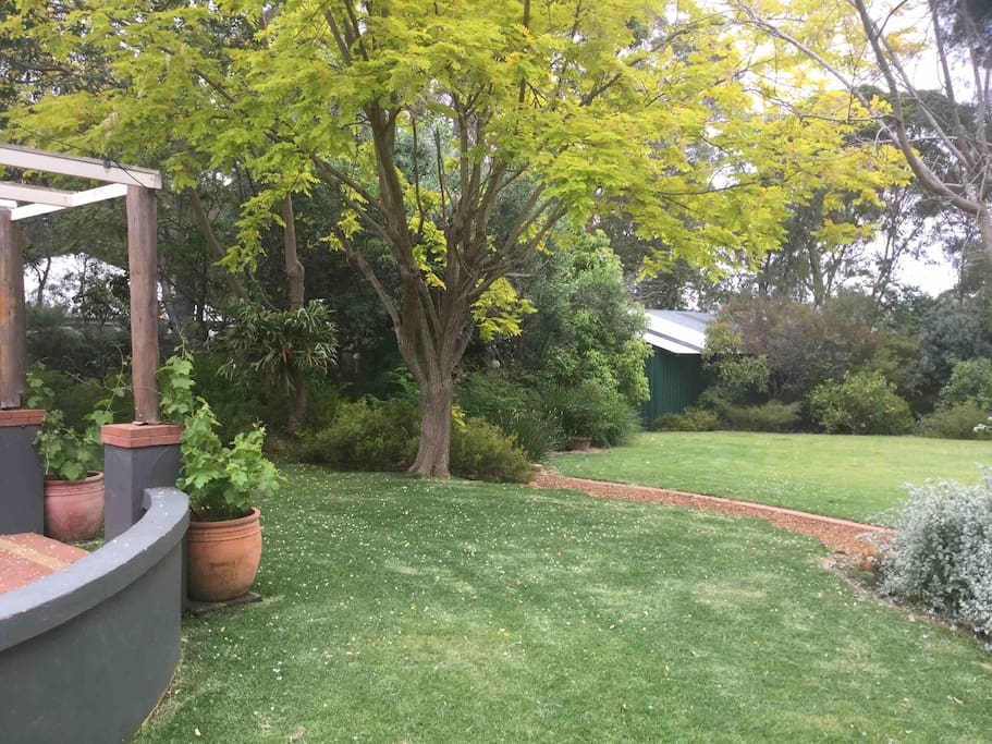 Some of our beautiful garden.