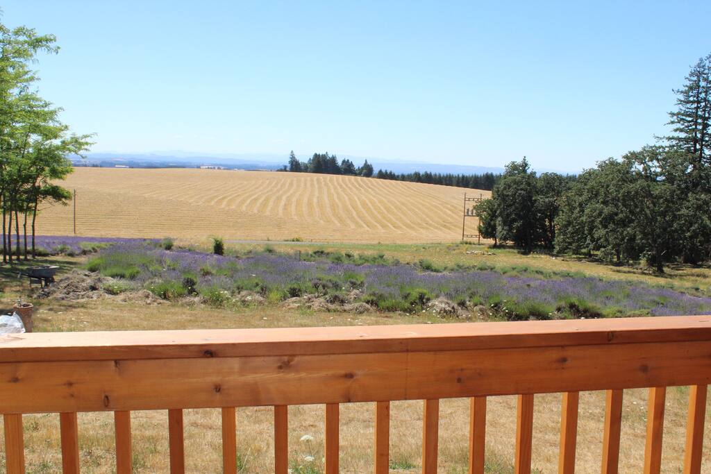 View from the attached porch