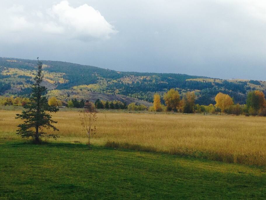 View from the back porch